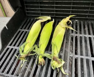 Grilled Corn with husks on sitting on grill grates.