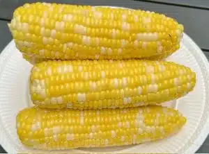 Grilled Corn on the cob